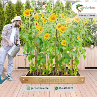 Yardlong Greencorner Raised Gardenbed 5 feet x 2 feet. Wooden Bed to grow vegetables, flowers, herbs, root vegetables, grow tomatoes, sponge gourd creepers Image