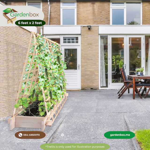 Parkpatch Greencorner 6 x 2 feet gardenbed. Wooden Bed to grow vegetables, flowers, herbs, root vegetables, grow tomatoes, sponge gourd creepers, carrots Image