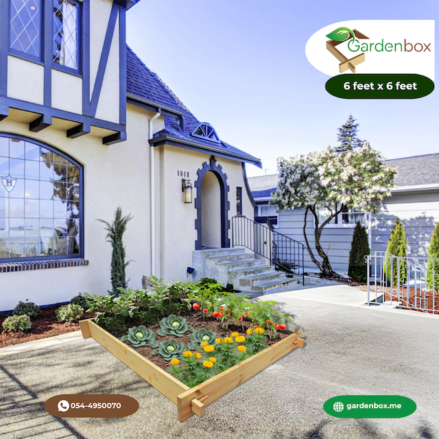 Parkpatch 6 feet x 6 feet x 23 cm raised gardenbed. Wooden Bed to grow vegetables, herbs, flowers, winter plants Image