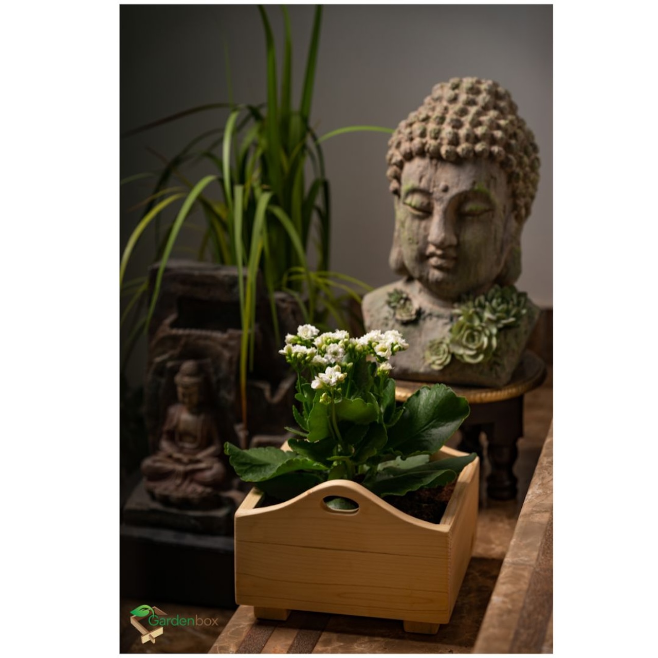 Treasure Wooden Planter, 9 inch x 9 inch, planter box for home gardening, Ideal for growing Flowers,  oregano, mint herbs, creating a miniature garden, decorative plants, seed tray Image