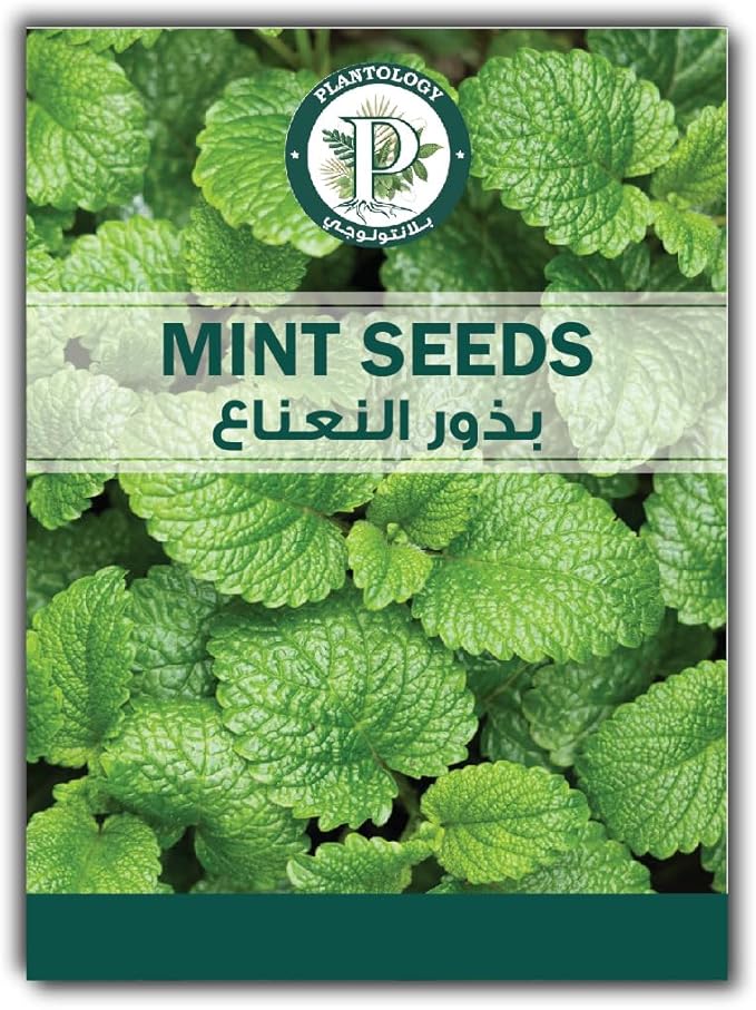 Mint Seeds for Planting - Mint seeds - Herb seeds - Organic Seeds - Premium Quality Seeds Organic 100% Natural