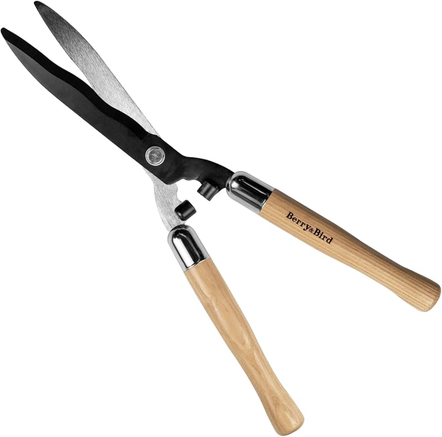 pruning scissors / hedge shears with a long wooden handle Image