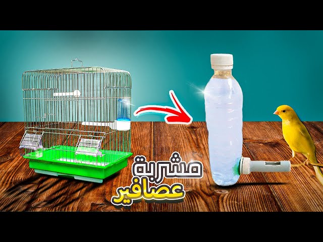 Gaun Automatic Bird Drinker with Bottle, 2 Liter Hanging Bird Water Bottle Drinker & Food Dispenser for Bird Cages Image