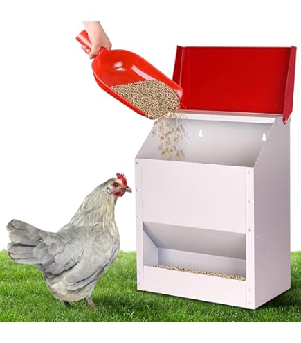 Gaun Comedero Gaper – Poultry & Bird Feeder (Made in Spain) Image