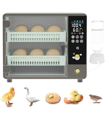 Mini Pro Incubator with Automatic Temperature Control – PX-03 (Made in Korea)
