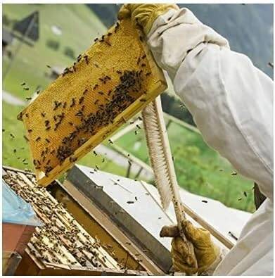 Premium Beekeeping Gloves – Protective Bee Keeper Hand Gloves, Durable & Long Cuff, 1 Pair (Yellow & White) Image