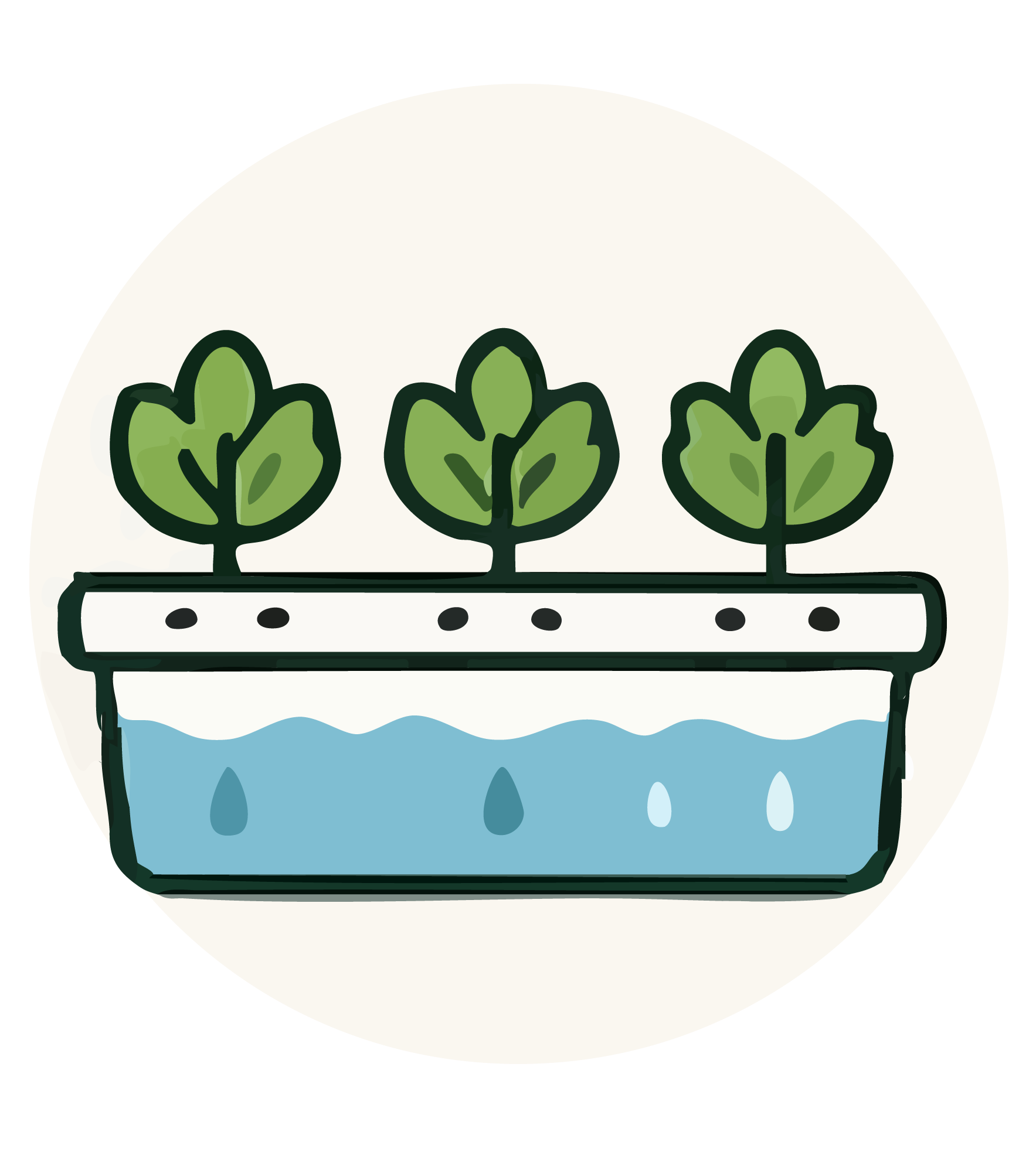 هيدروبونيك