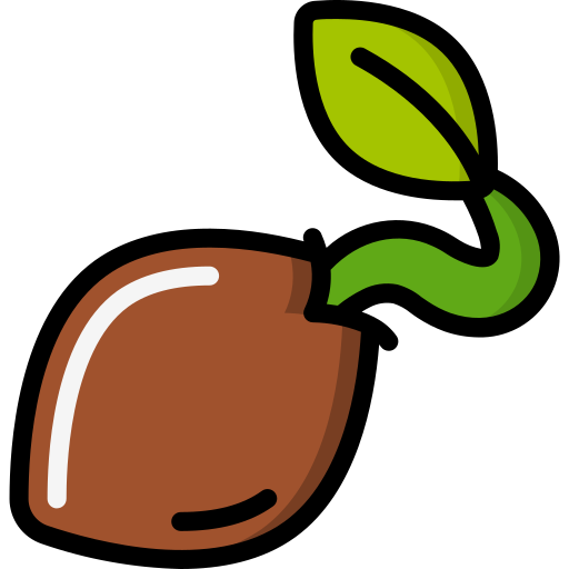 البذور