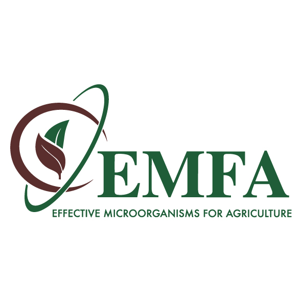 Vendor EMFA cover
