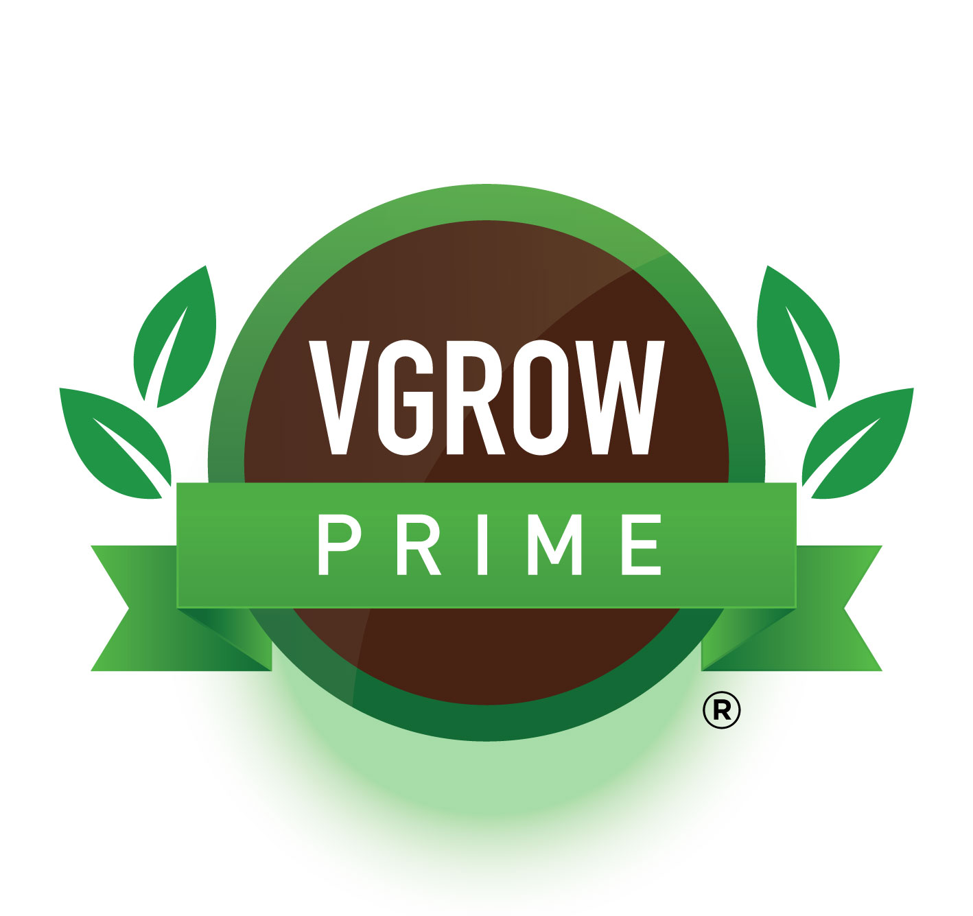 Vendor Vgrow Prime LLC cover